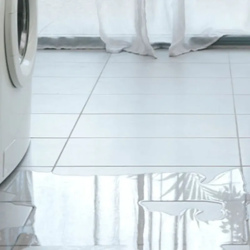 Appliance Leak Cleanup in Sparta, TN