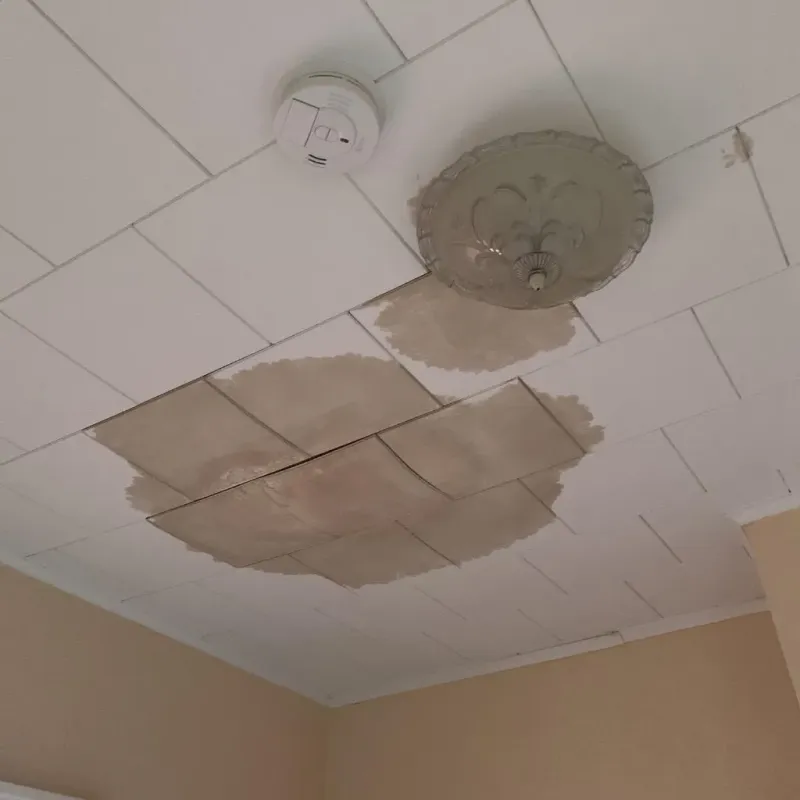 Ceiling Water Damage Repair in Sparta, TN