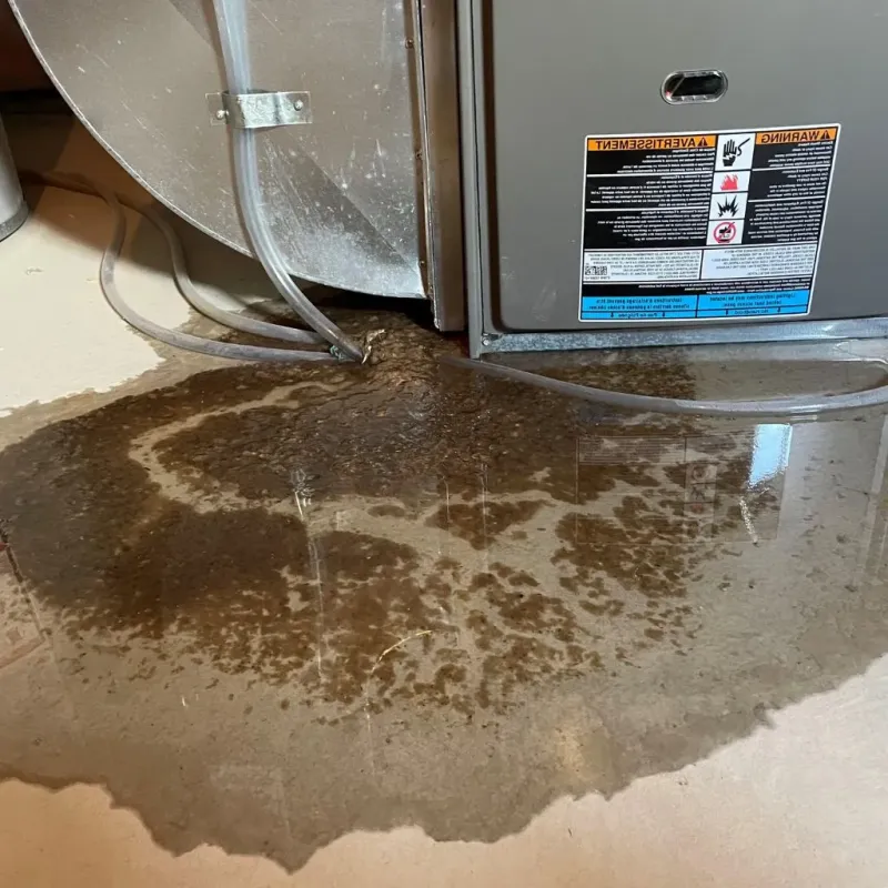 Pipe Burst and Leak Restoration in Sparta, TN