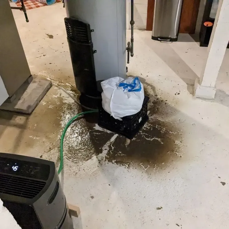 Sewage Backup Cleanup Service in Sparta, TN